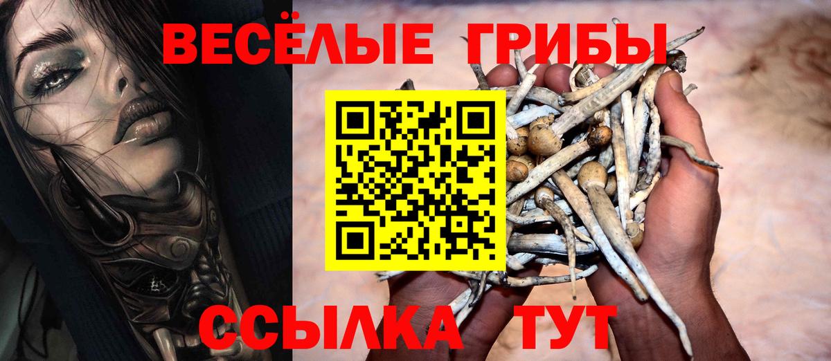 Галлюциногенные грибы Magic Shrooms Вологда