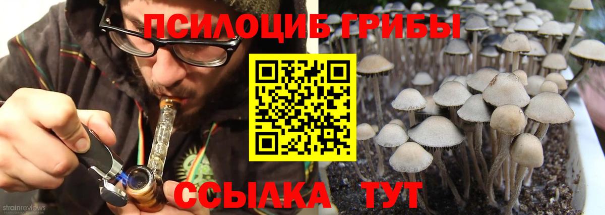 Псилоцибиновые грибы MAGIC MUSHROOMS  Вход с VPN  Вологда 